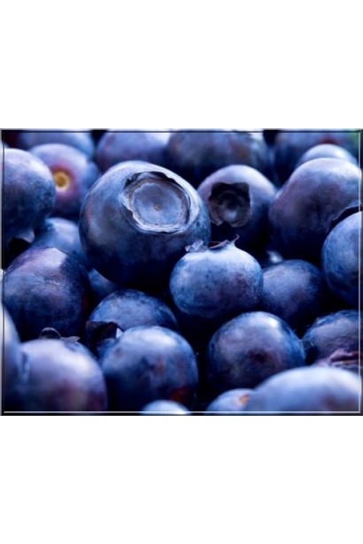 Блакитниця Елізабет